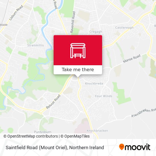 Saintfield Road (Mount Oriel) map