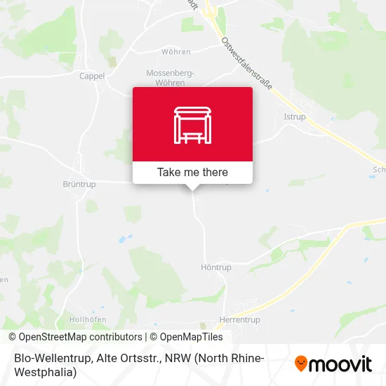 Blo-Wellentrup, Alte Ortsstr. map