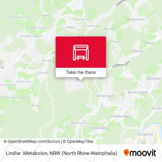 Карта Lindlar :Metabolon