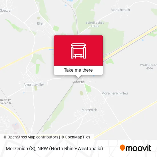 Карта Merzenich (S)