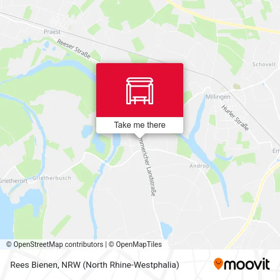 Карта Rees Bienen