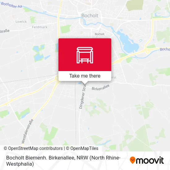 Карта Bocholt Biemenh. Birkenallee