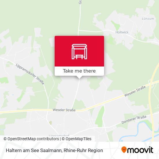 Haltern am See Saalmann map