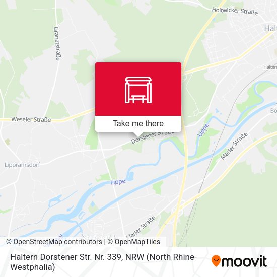 Карта Haltern Dorstener Str. Nr. 339