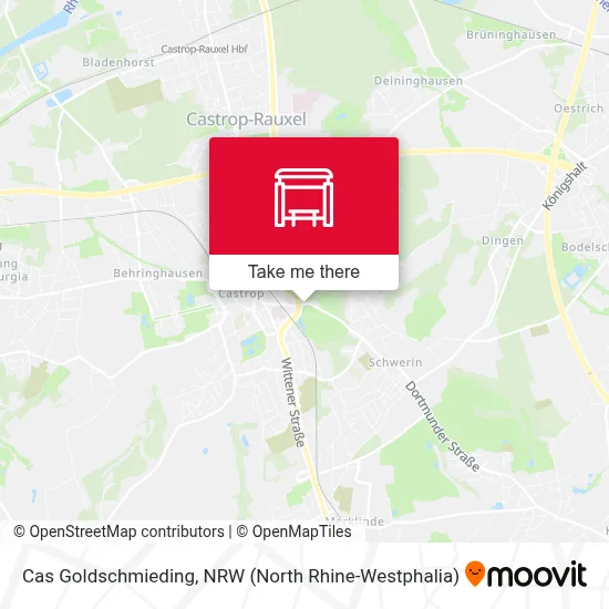 Cas Goldschmieding map