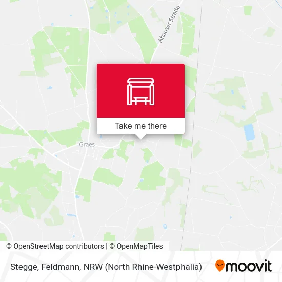 Stegge, Feldmann map