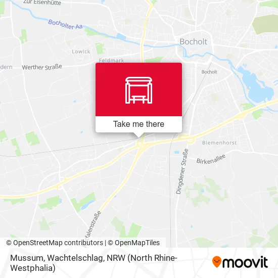 Карта Mussum, Wachtelschlag