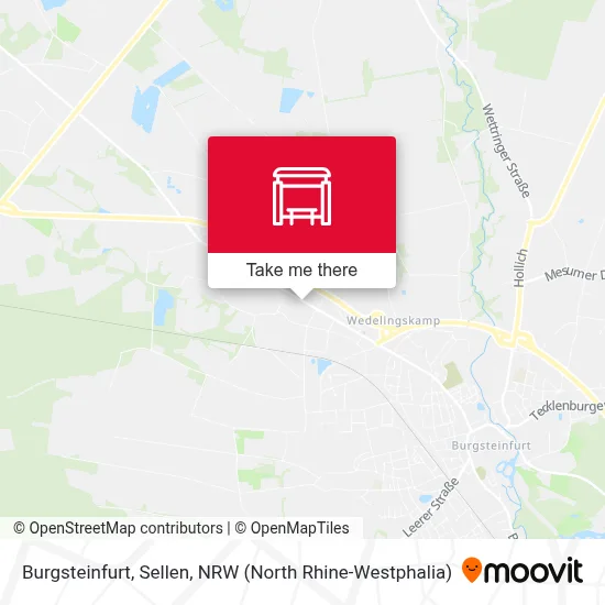 Burgsteinfurt, Sellen map