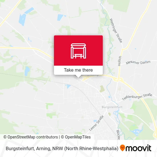 Burgsteinfurt, Arning map