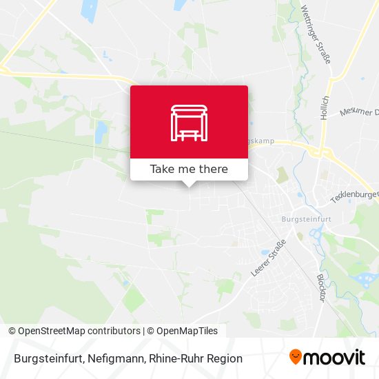 Burgsteinfurt, Nefigmann map