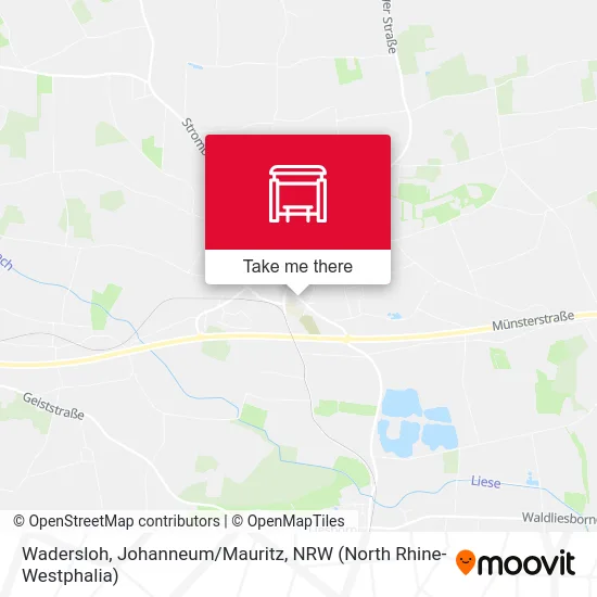 Wadersloh, Johanneum/Mauritz map