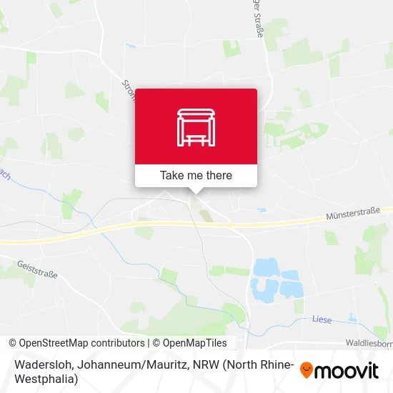 Wadersloh, Johanneum/Mauritz map