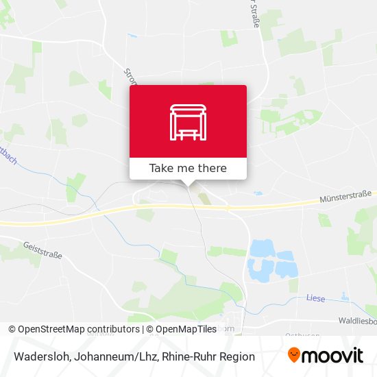Wadersloh, Johanneum/Lhz map