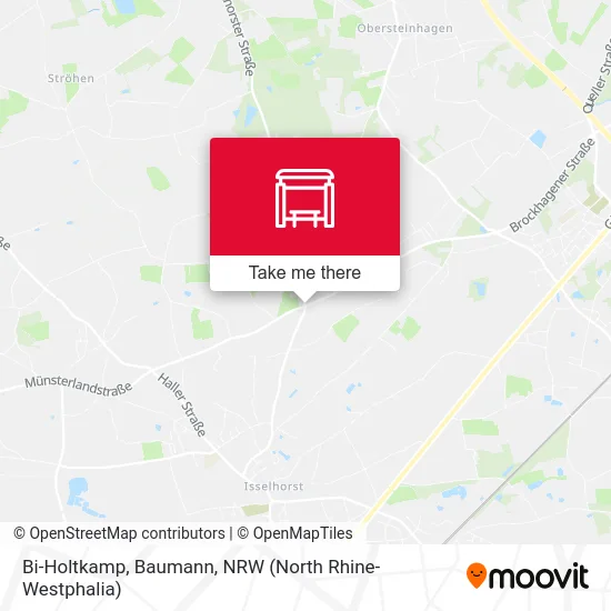 Bi-Holtkamp, Baumann map