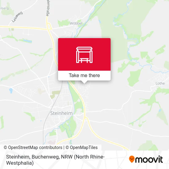 Steinheim, Buchenweg map