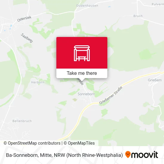 Ba-Sonneborn, Mitte map