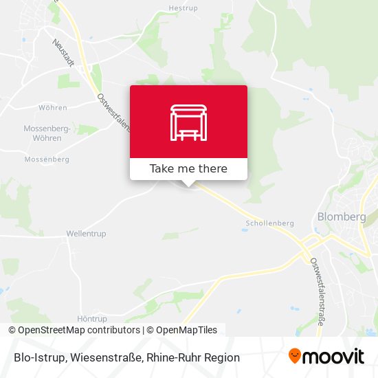 Blo-Istrup, Wiesenstraße map