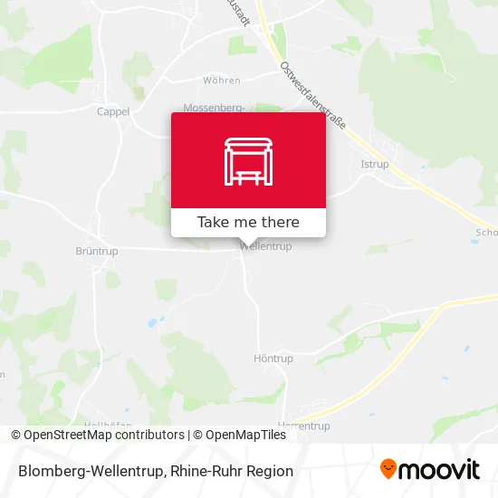 Карта Blomberg-Wellentrup