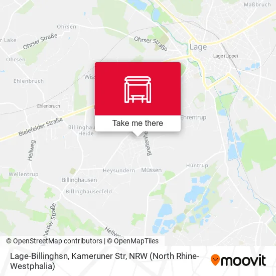 Карта Lage-Billinghsn, Kameruner Str