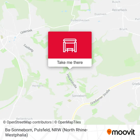 Ba-Sonneborn, Pulsfeld map