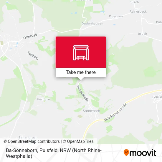 Ba-Sonneborn, Pulsfeld map