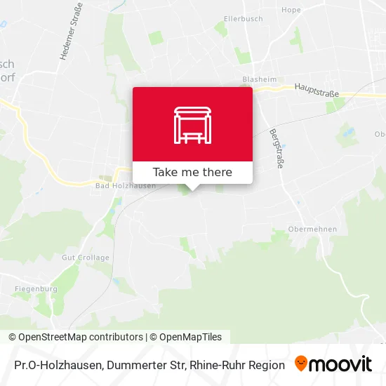 Карта Pr.O-Holzhausen, Dummerter Str
