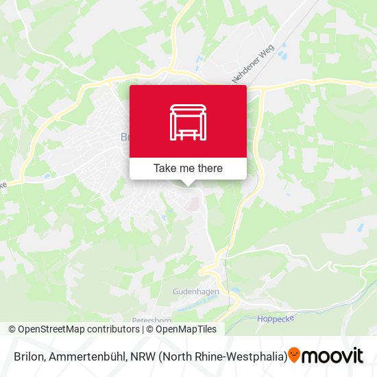 Brilon, Ammertenbühl map