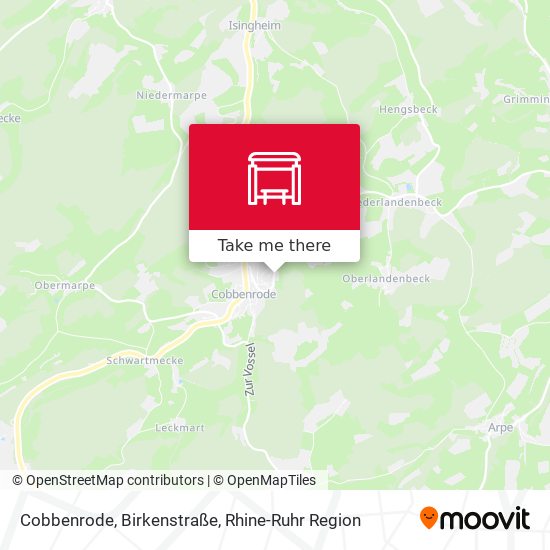 Cobbenrode, Birkenstraße map