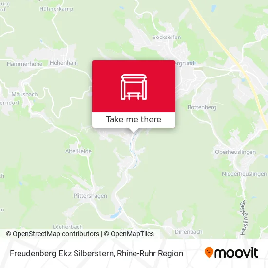 Карта Freudenberg Ekz Silberstern