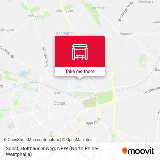 Soest, Holthausenweg map