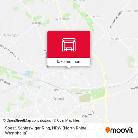 Soest, Schleswiger Ring map