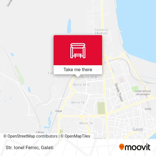 Str. Ionel Fernic map