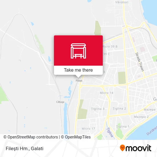 Fileşti Hm. map