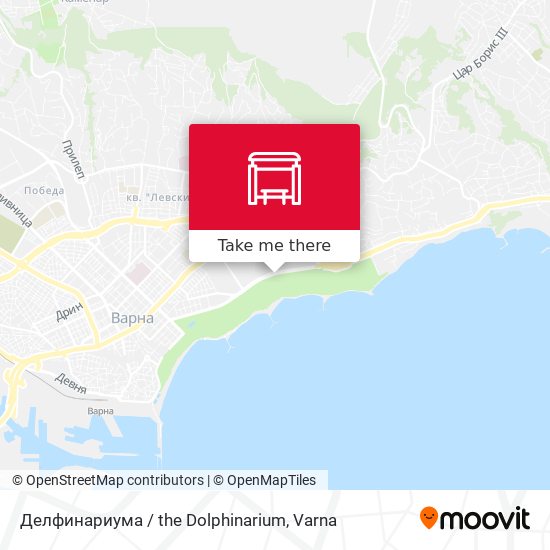 Делфинариума / the Dolphinarium map