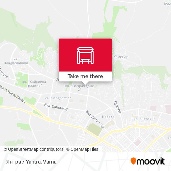 Янтра / Yantra map