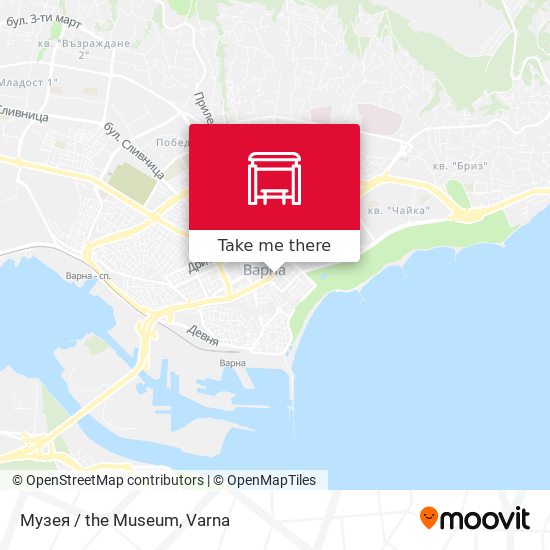 Музея / the Museum map