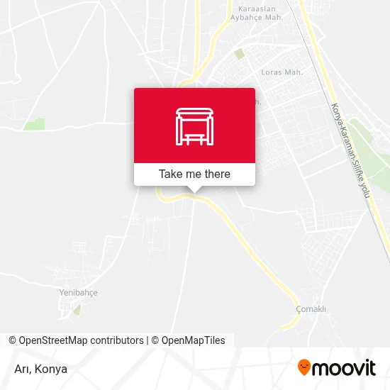 Arı map