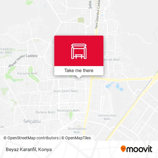 Beyaz Karanfil map