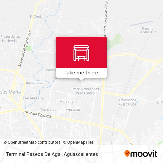 Terminal Paseos De Ags. map