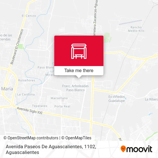 Mapa de Avenida Paseos De Aguascalientes, 1102