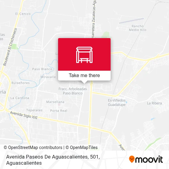 Avenida Paseos De Aguascalientes, 501 map