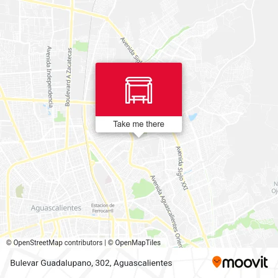 Mapa de Bulevar Guadalupano, 302