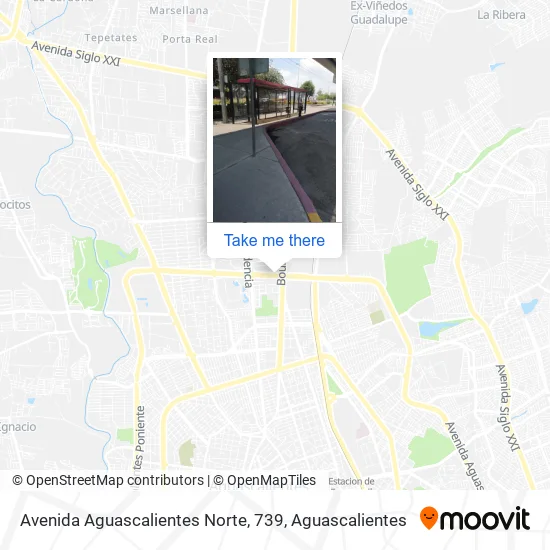 Mapa de Avenida Aguascalientes Norte, 739