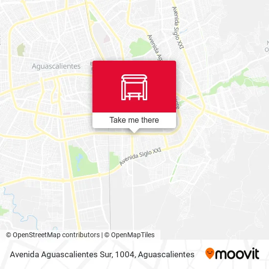 Mapa de Avenida Aguascalientes Sur, 1004