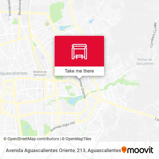 Mapa de Avenida Aguascalientes Oriente, 213