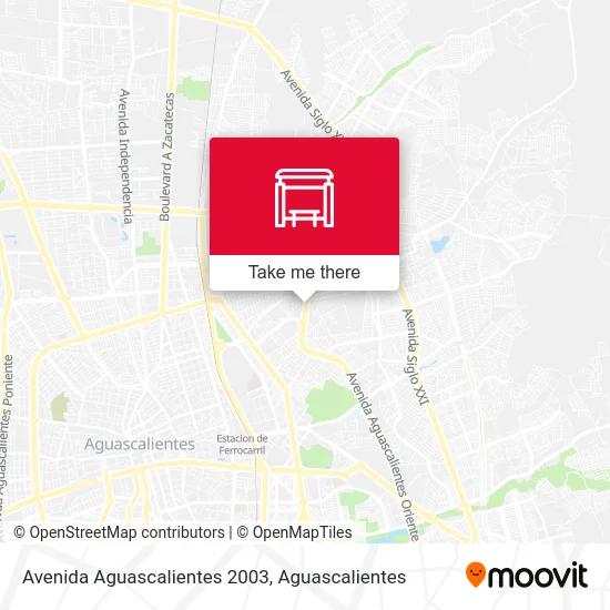 Avenida Aguascalientes 2003 map