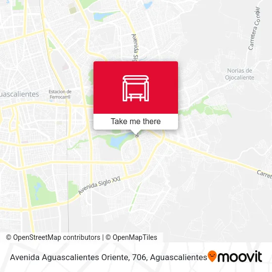 Mapa de Avenida Aguascalientes Oriente, 706