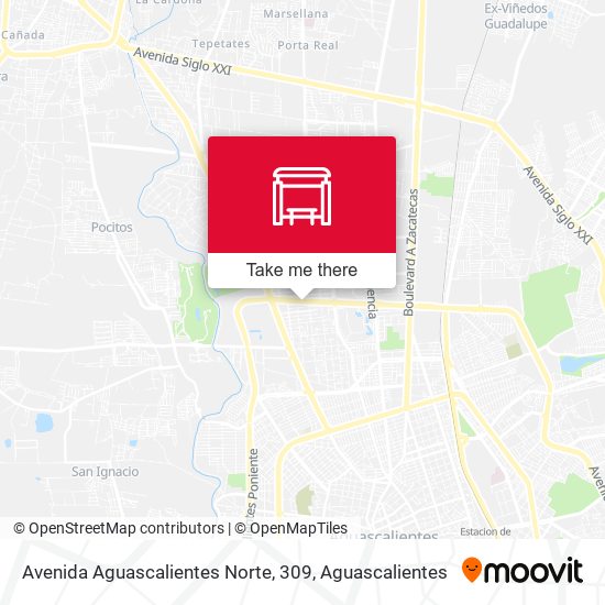 Mapa de Avenida Aguascalientes Norte, 309