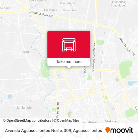 Mapa de Avenida Aguascalientes Norte, 309