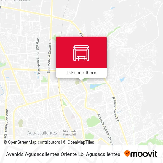 Avenida Aguascalientes Oriente Lb map